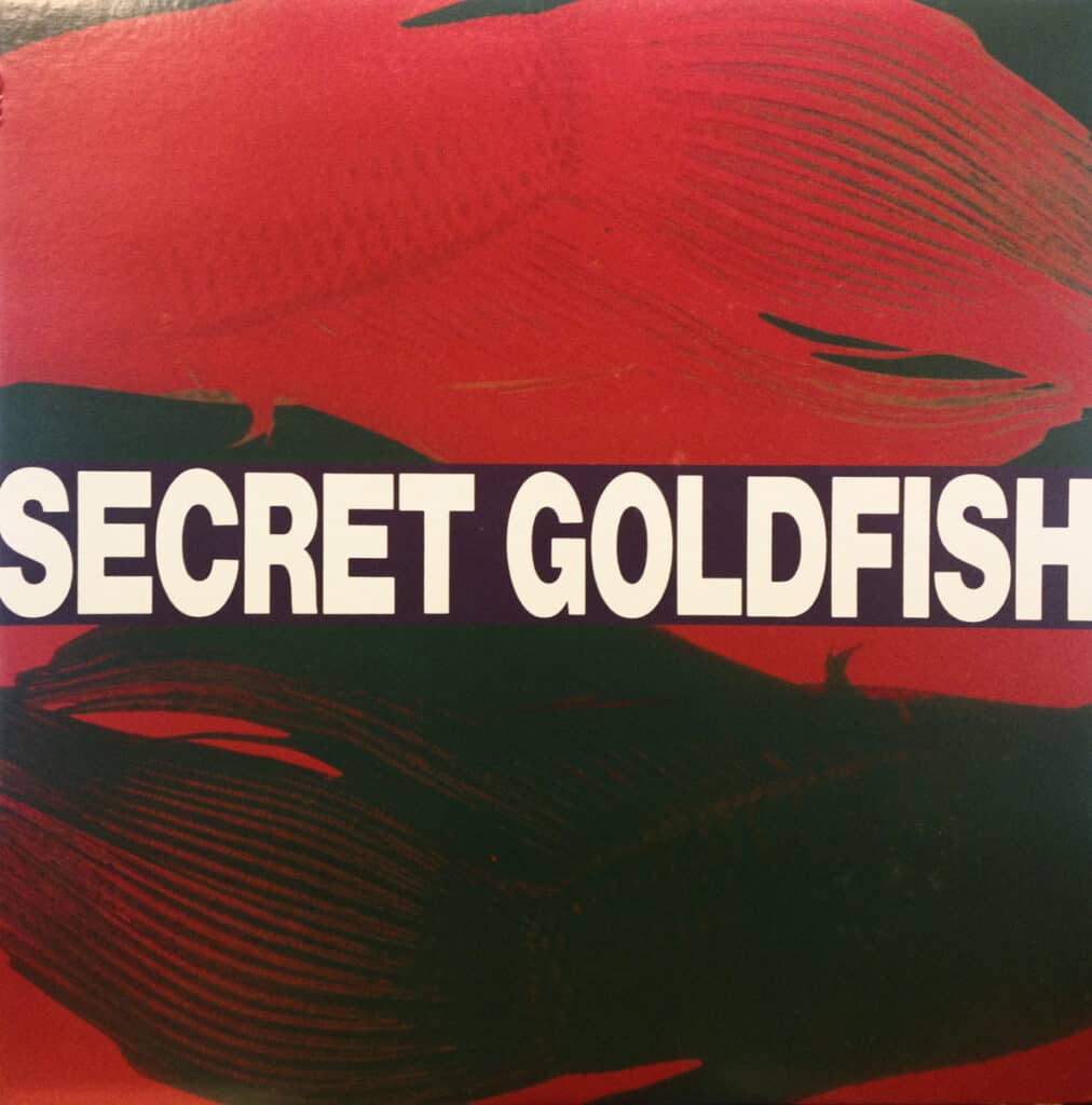 Portfolio Secret Goldfish