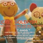 Flyer and Backstage Pass Secret Goldfish