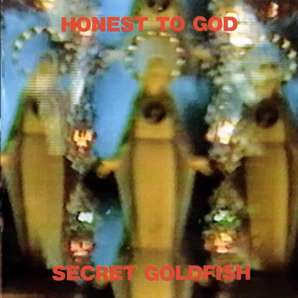 Portfolio Secret Goldfish